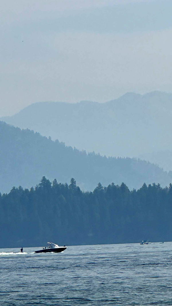 realhaylujan image ~ Altpins