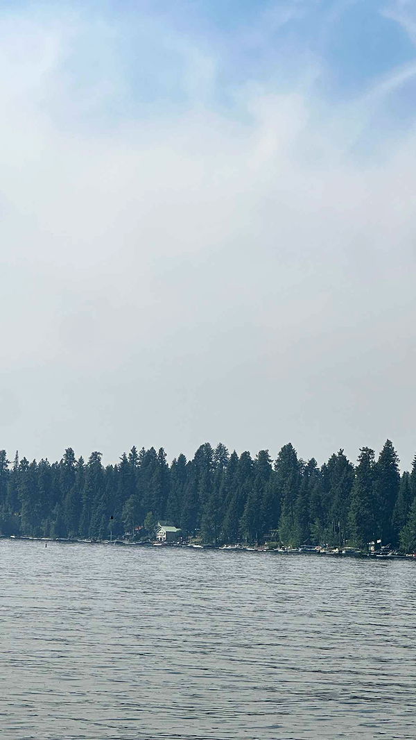 realhaylujan image ~ Altpins