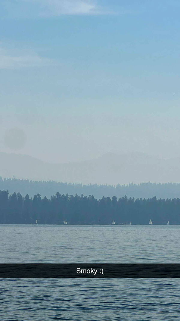 realhaylujan image ~ Altpins