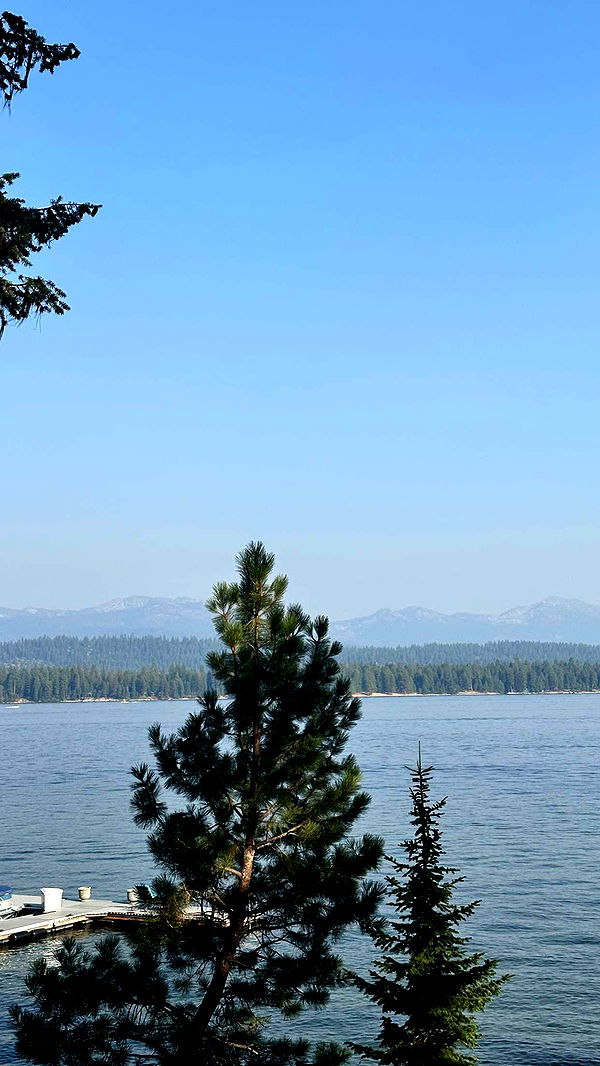 realhaylujan image ~ Altpins