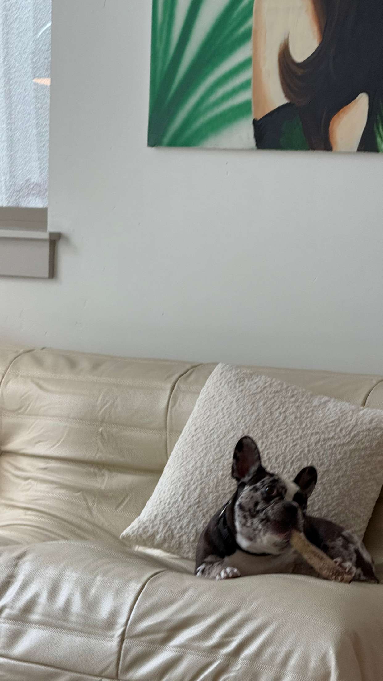 realhaylujan snapchat image archive image