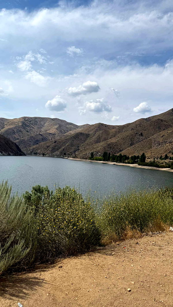 realhaylujan image ~ Altpins