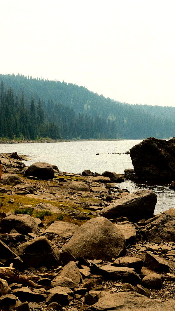 realhaylujan image ~ Altpins