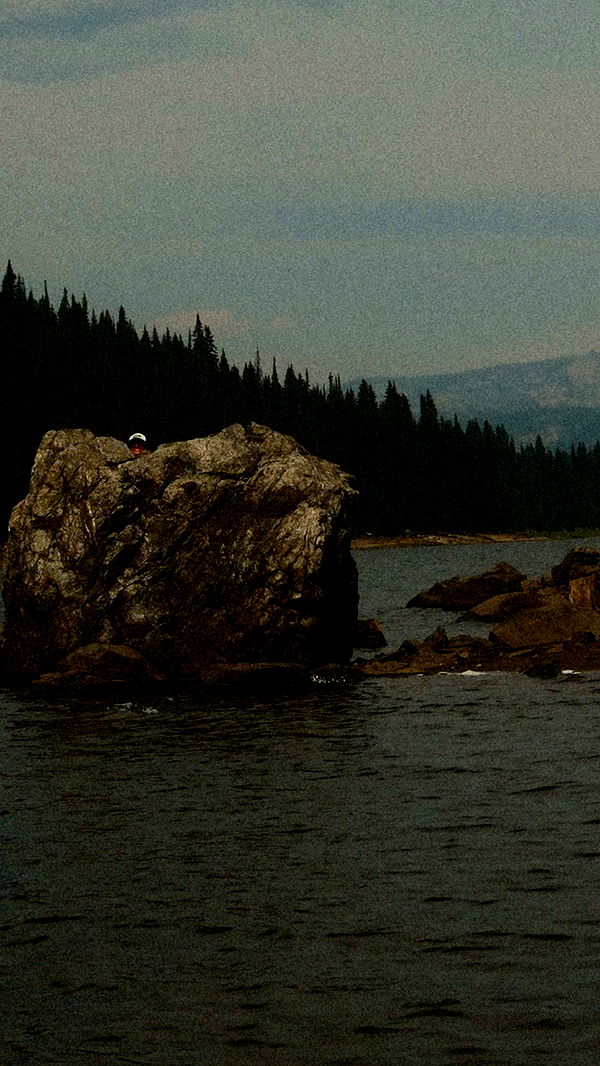 realhaylujan image ~ Altpins