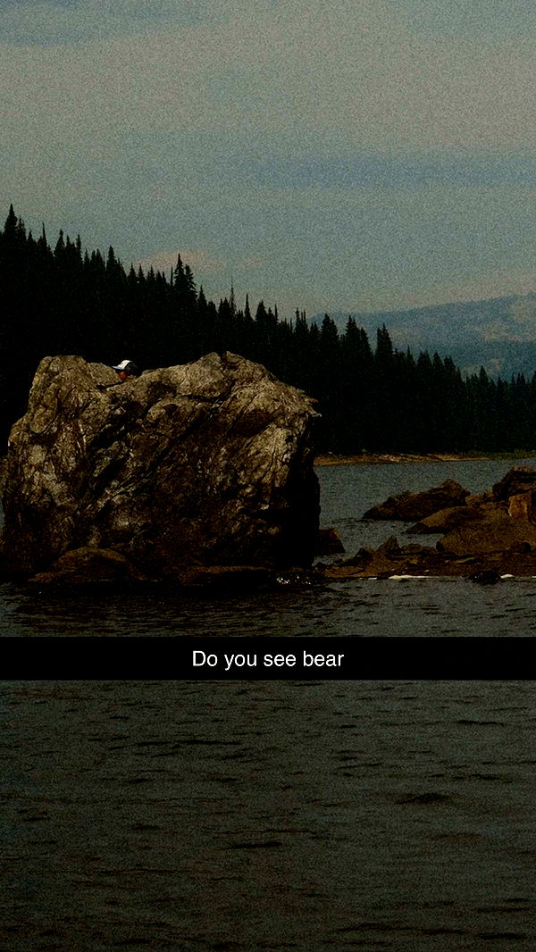 realhaylujan image ~ Altpins