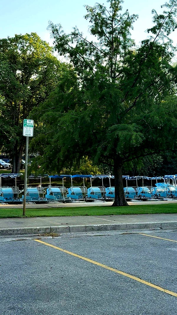 realhaylujan image ~ Altpins