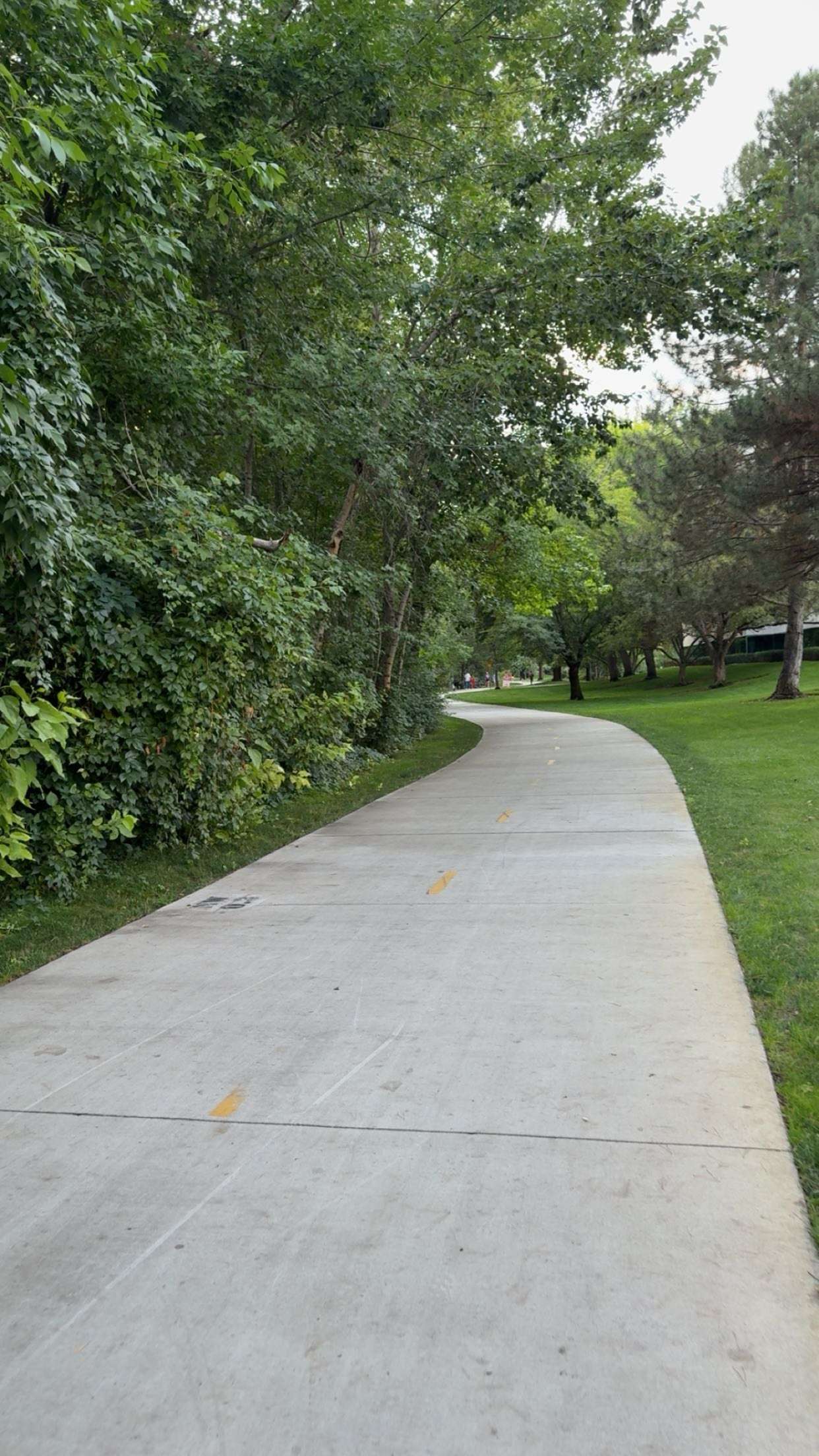 realhaylujan snapchat image archive image