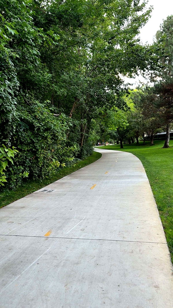 realhaylujan image ~ Altpins