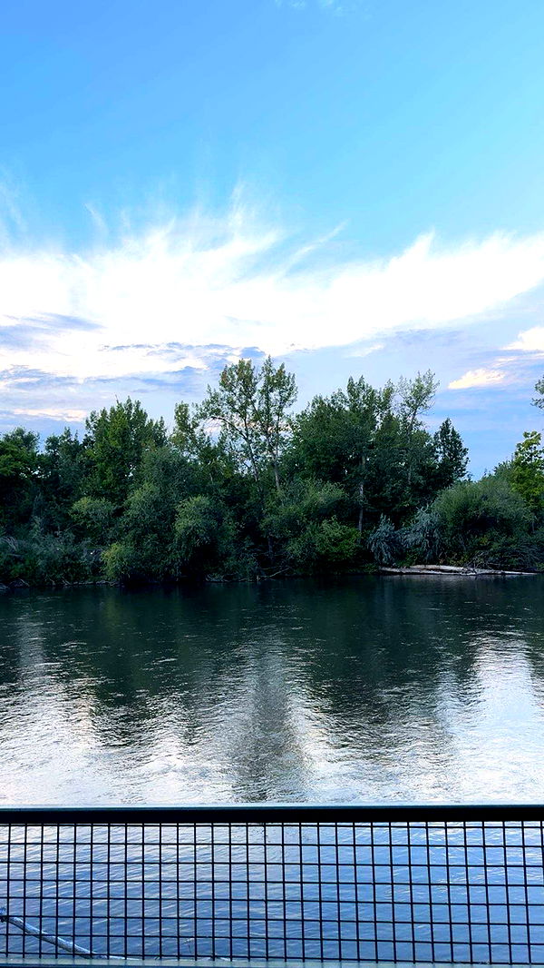 realhaylujan image ~ Altpins