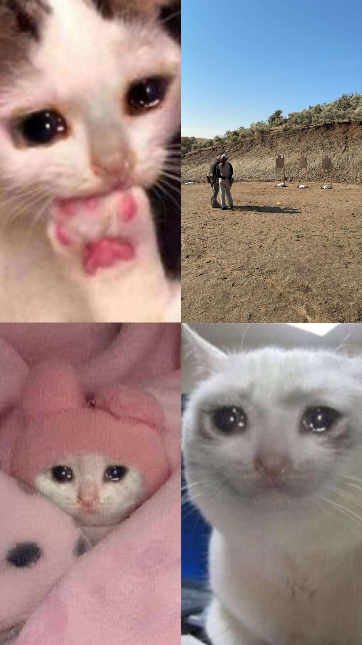 realhaylujan snapchat image archive image