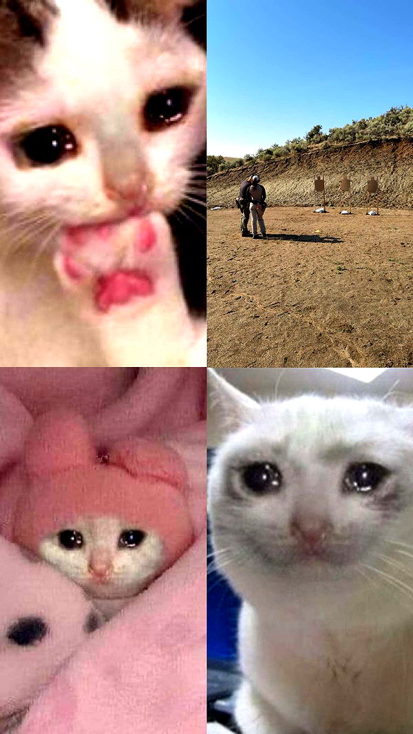 realhaylujan image ~ Altpins