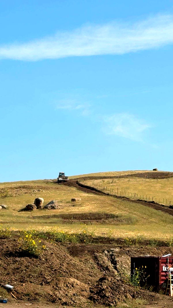 realhaylujan image ~ Altpins