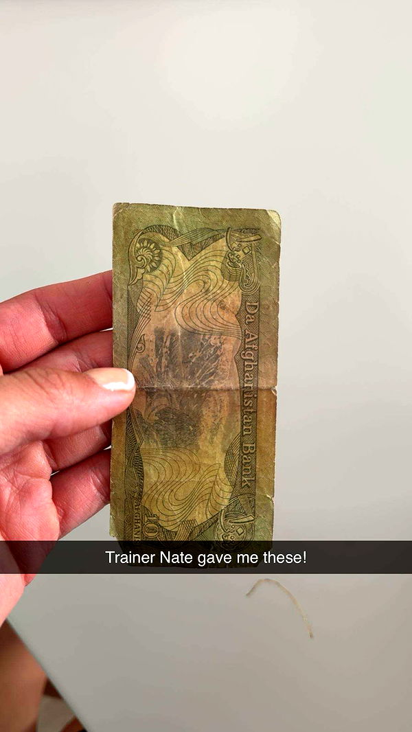 realhaylujan image ~ Altpins