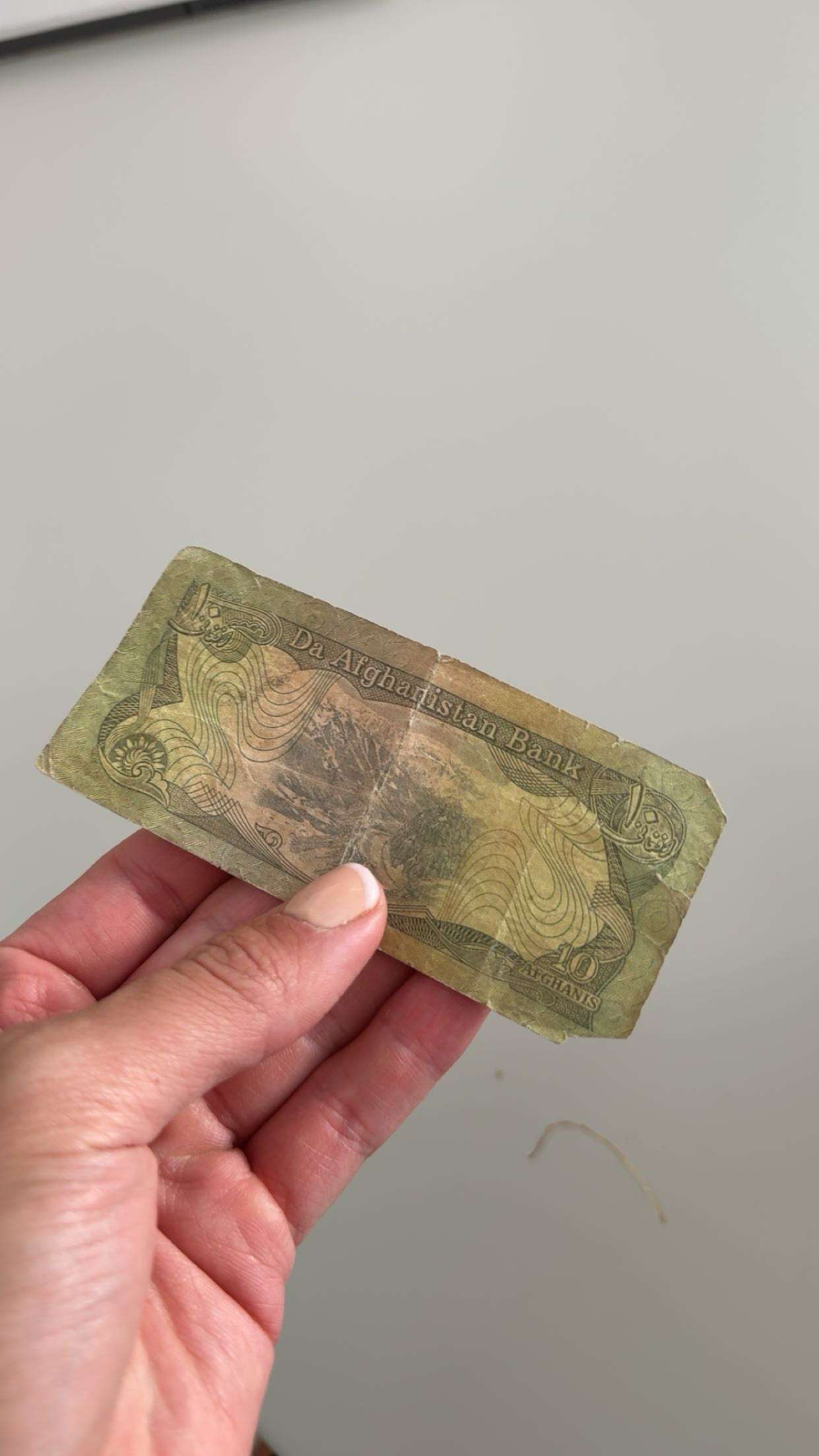 realhaylujan snapchat image archive image