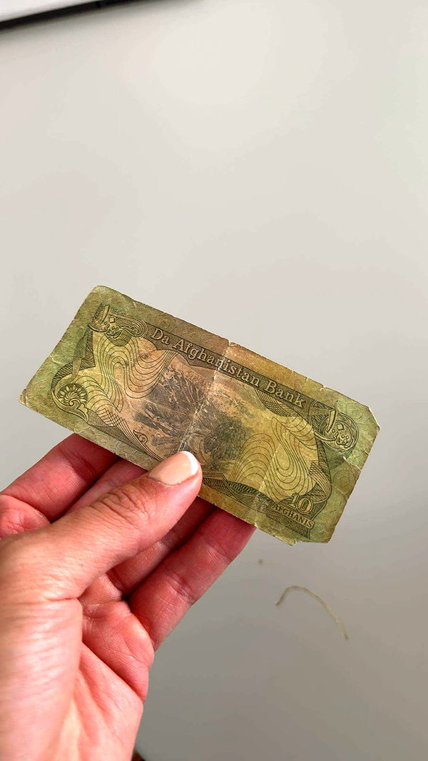 realhaylujan image ~ Altpins