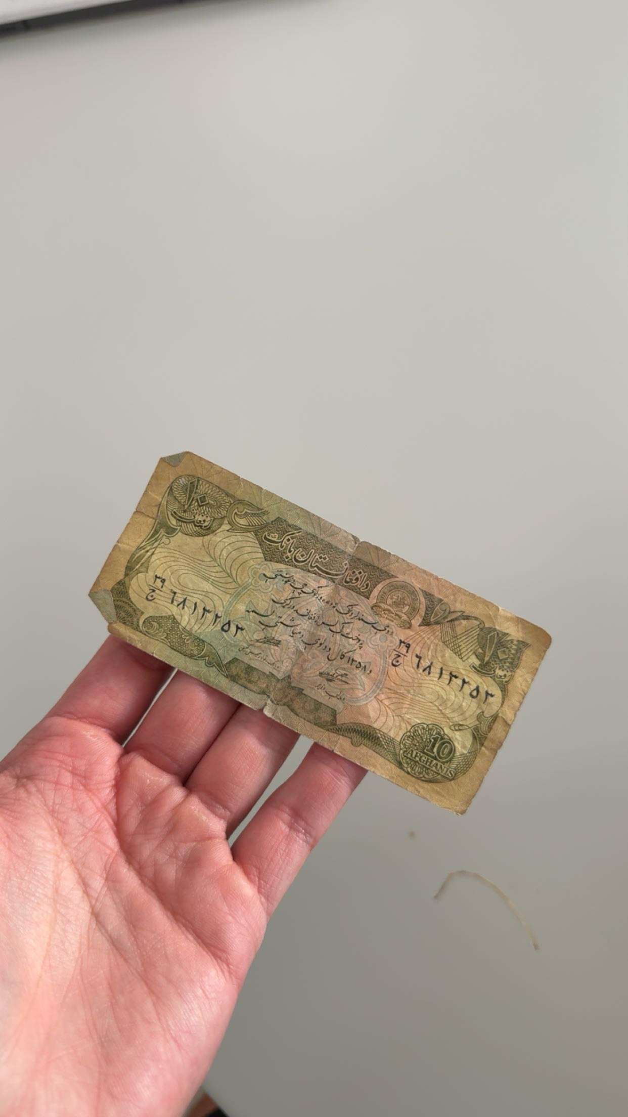 realhaylujan snapchat image archive image