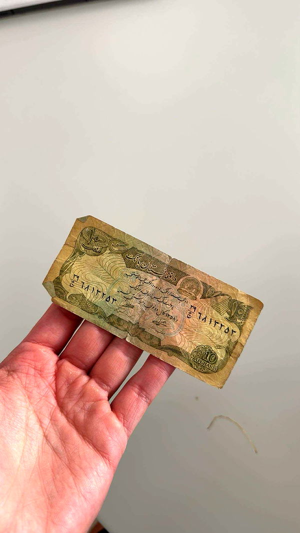 realhaylujan image ~ Altpins