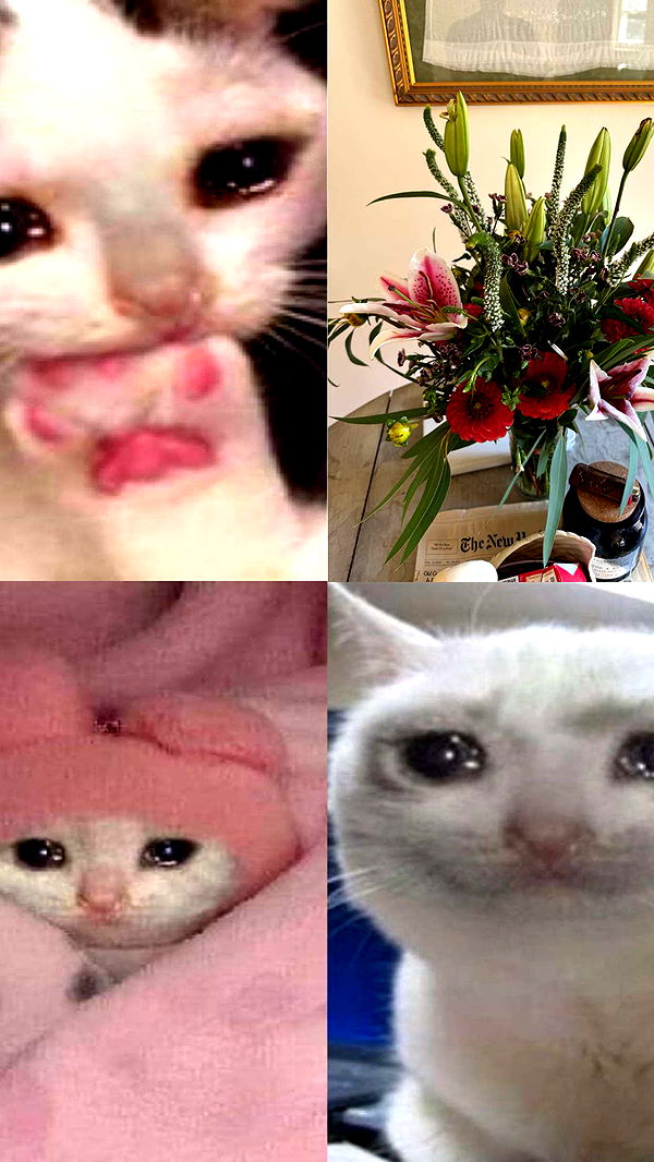 realhaylujan image ~ Altpins