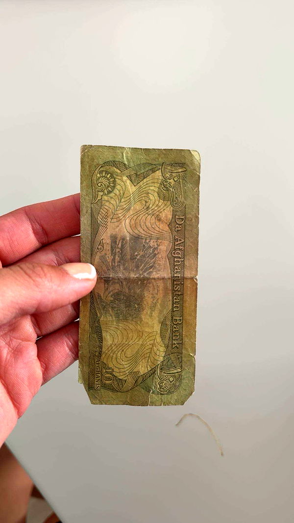 realhaylujan image ~ Altpins