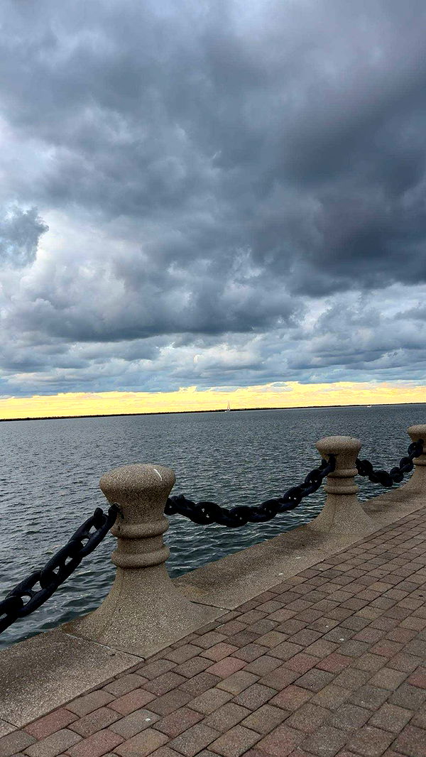 realhaylujan image ~ Altpins