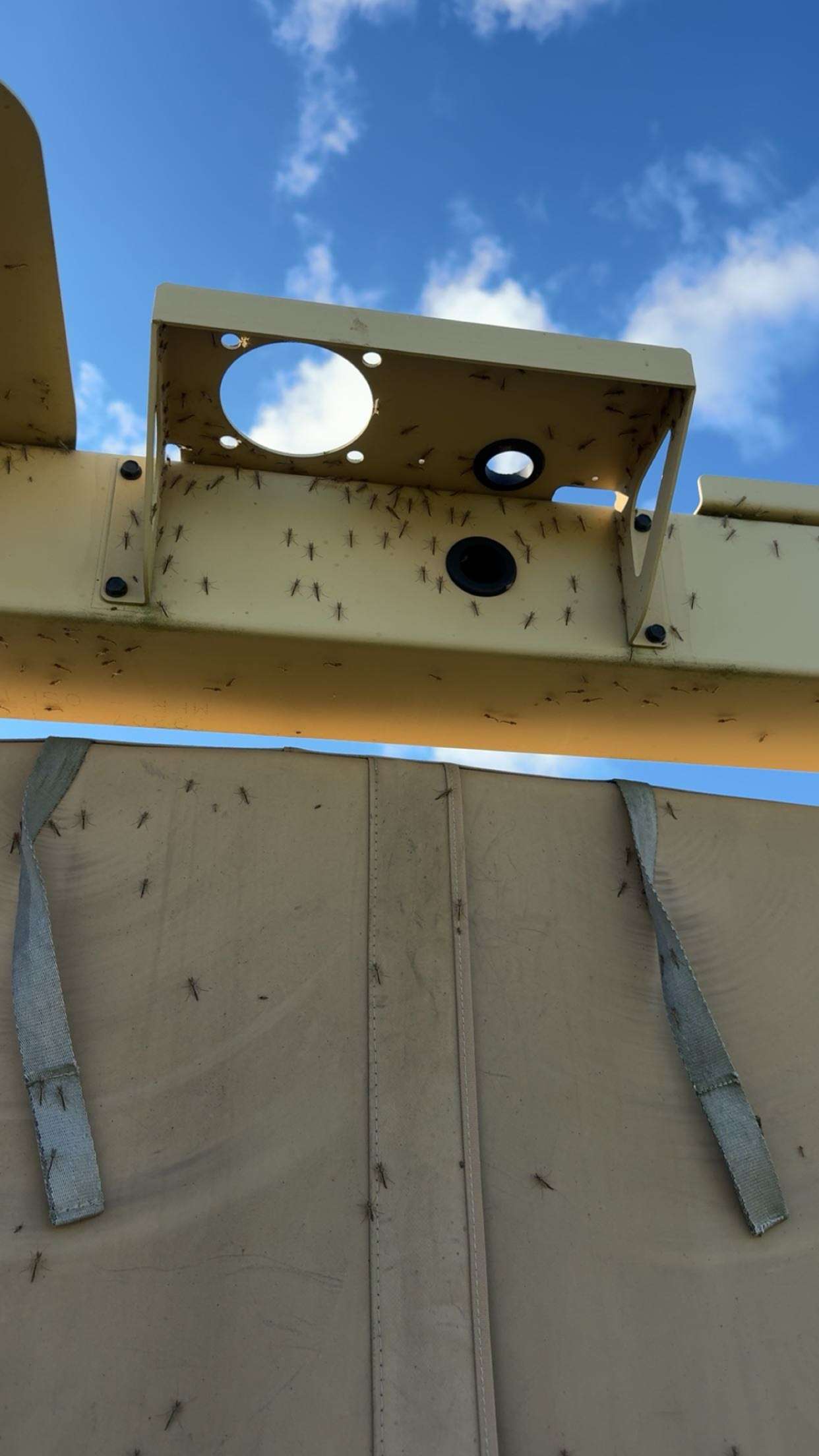 realhaylujan snapchat image archive image