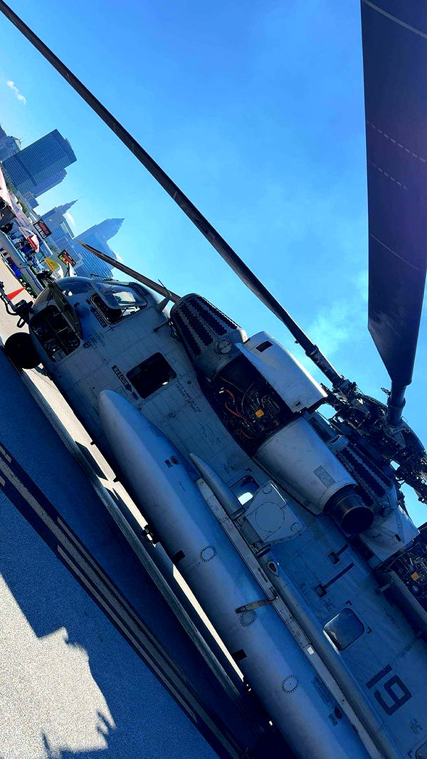 realhaylujan image ~ Altpins