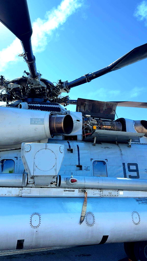 realhaylujan image ~ Altpins