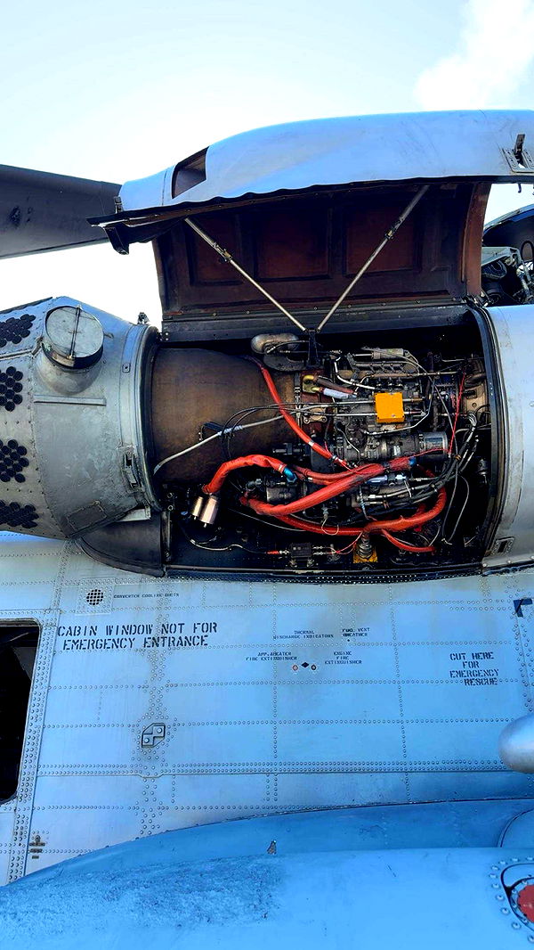 realhaylujan image ~ Altpins