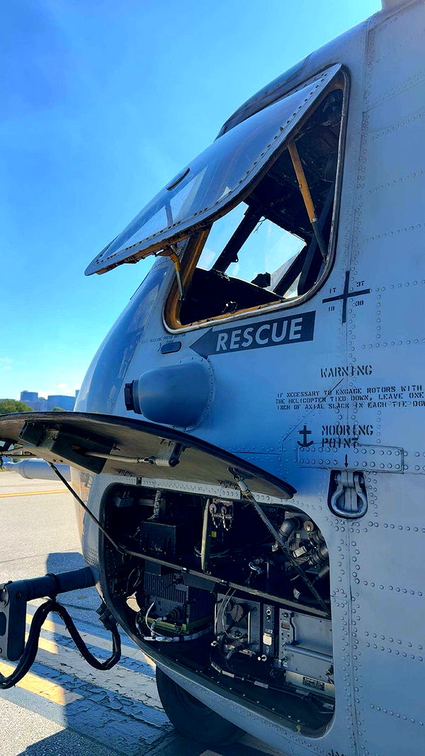 realhaylujan image ~ Altpins