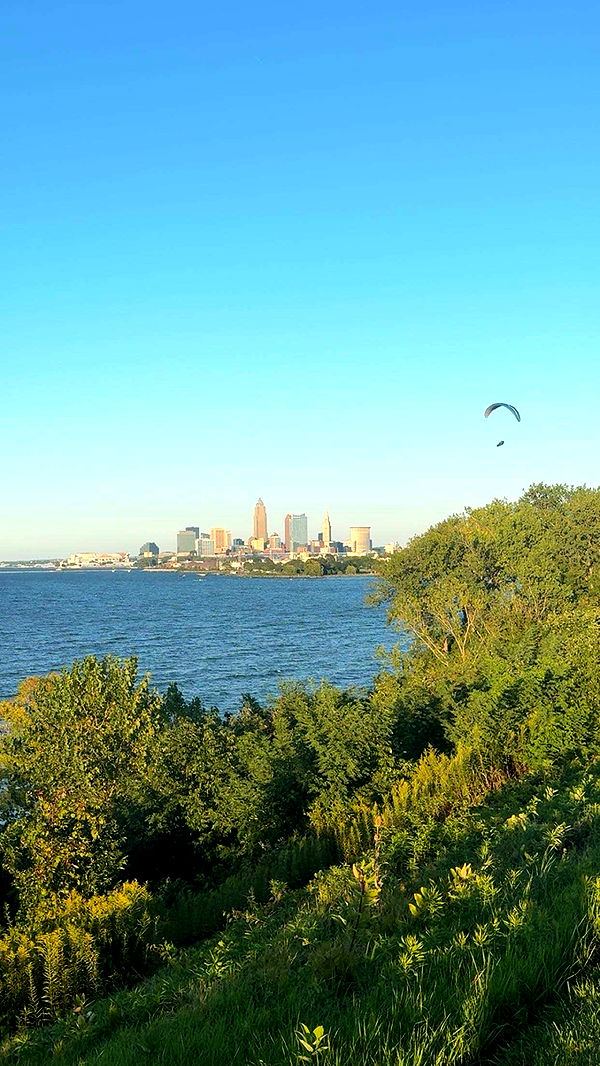 realhaylujan image ~ Altpins