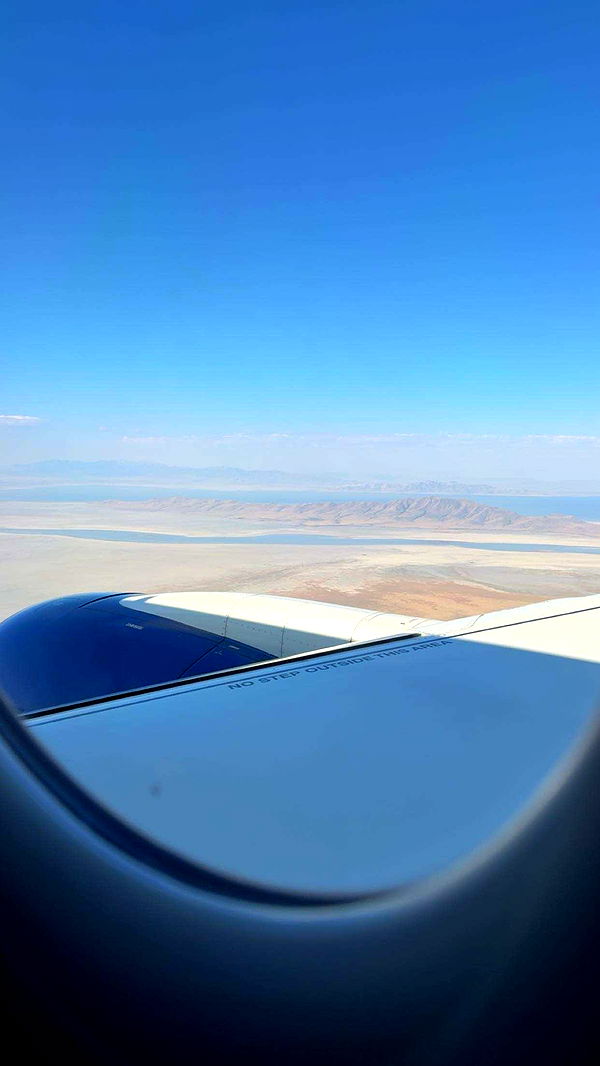 realhaylujan image ~ Altpins