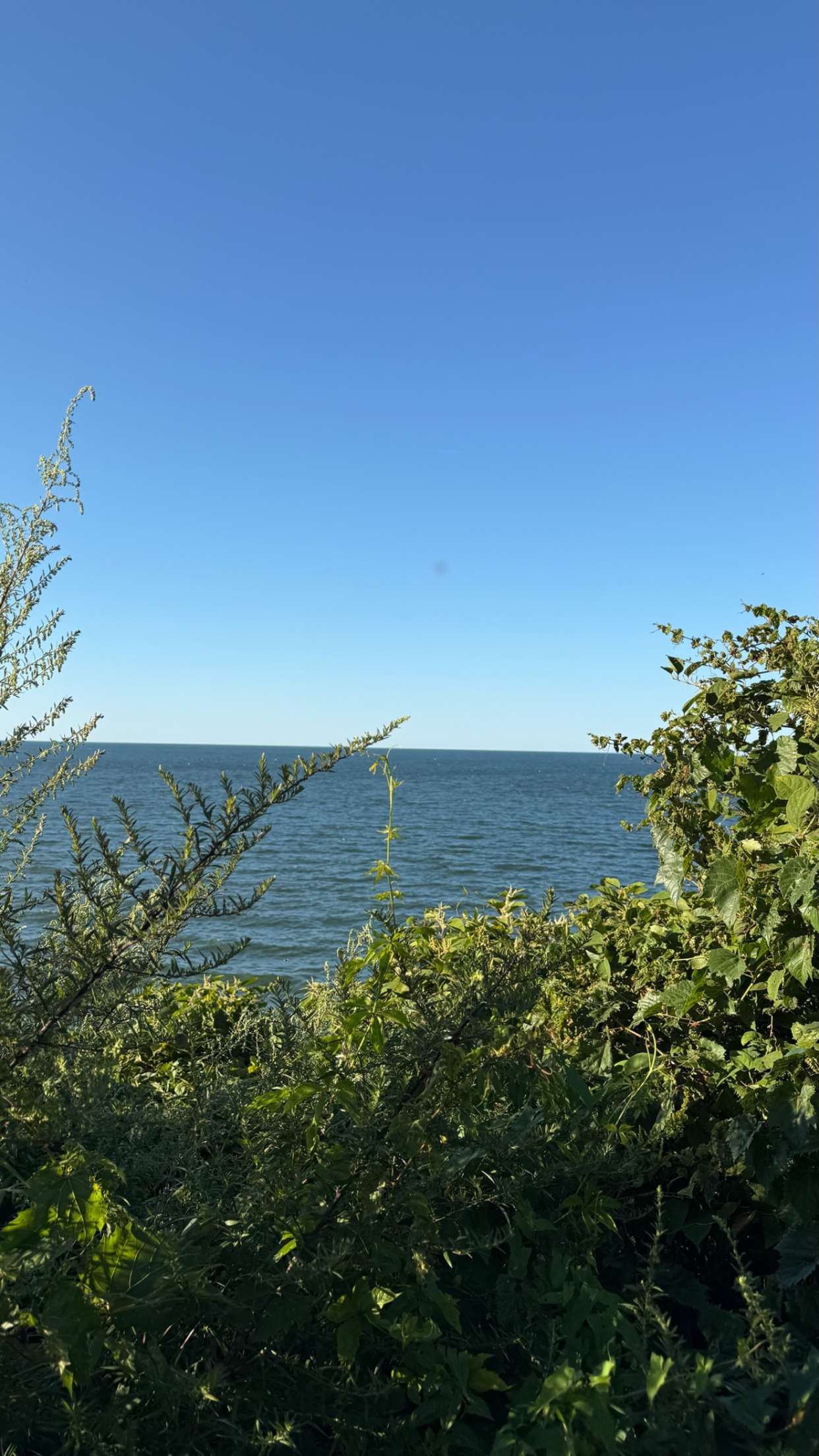 realhaylujan snapchat image archive image