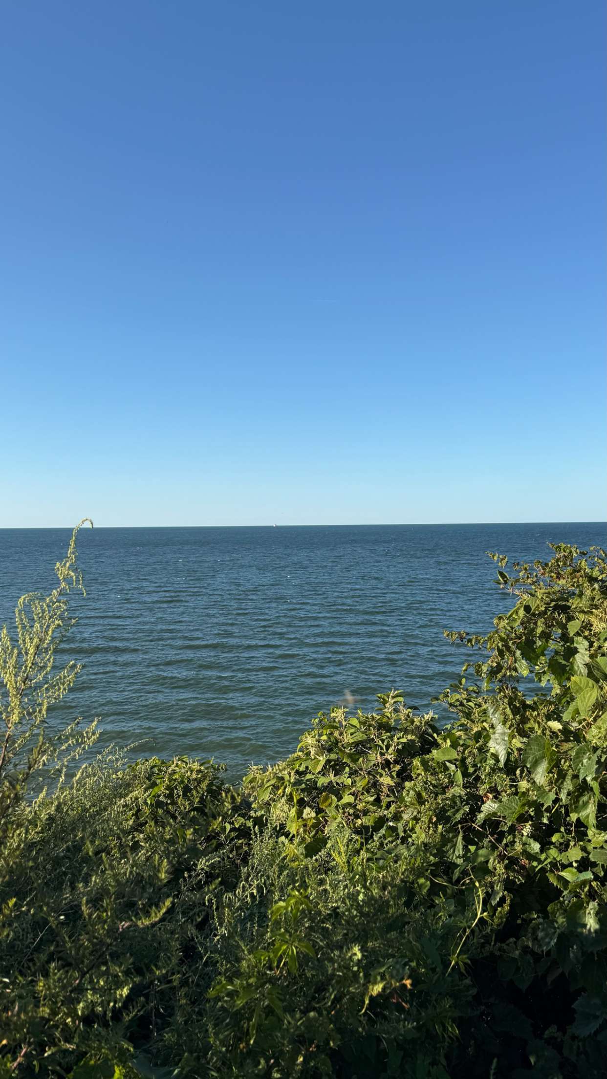 realhaylujan snapchat image archive image