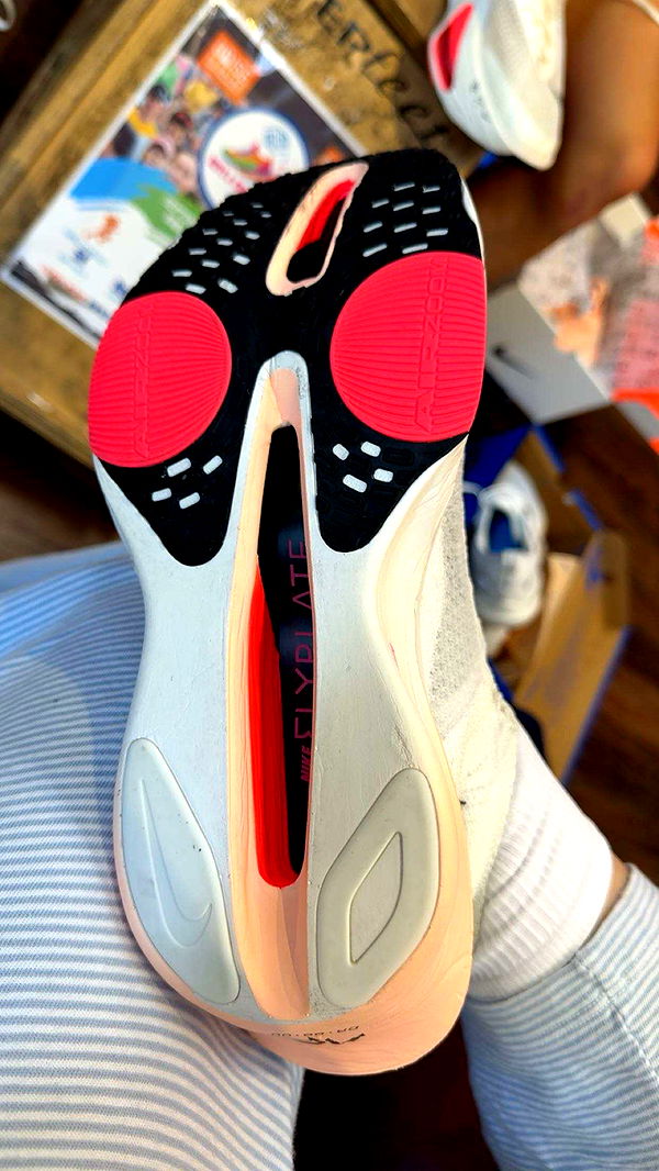 realhaylujan image ~ Altpins