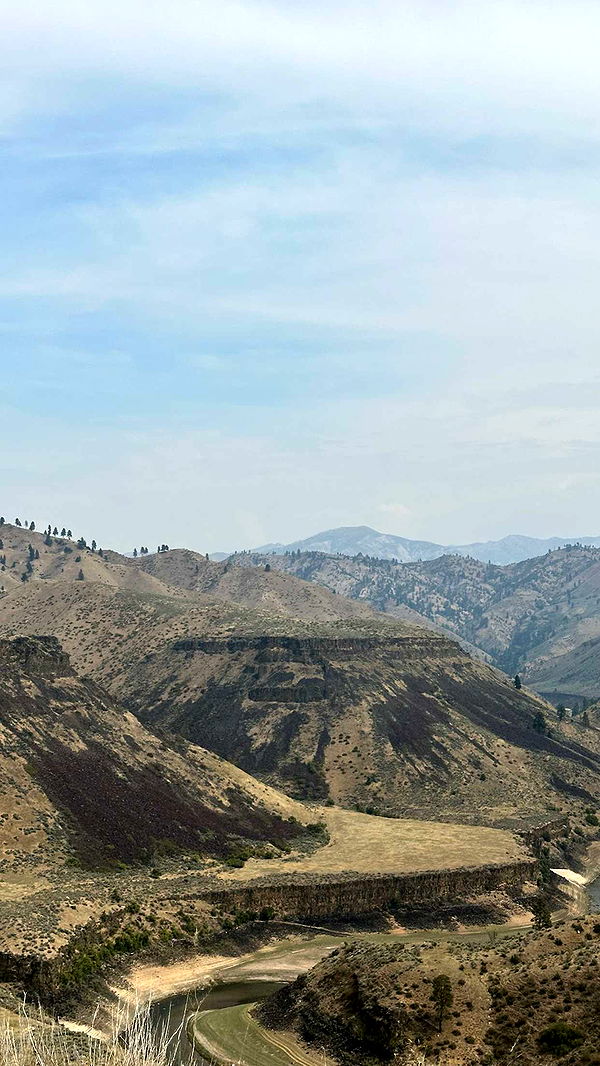 realhaylujan image ~ Altpins