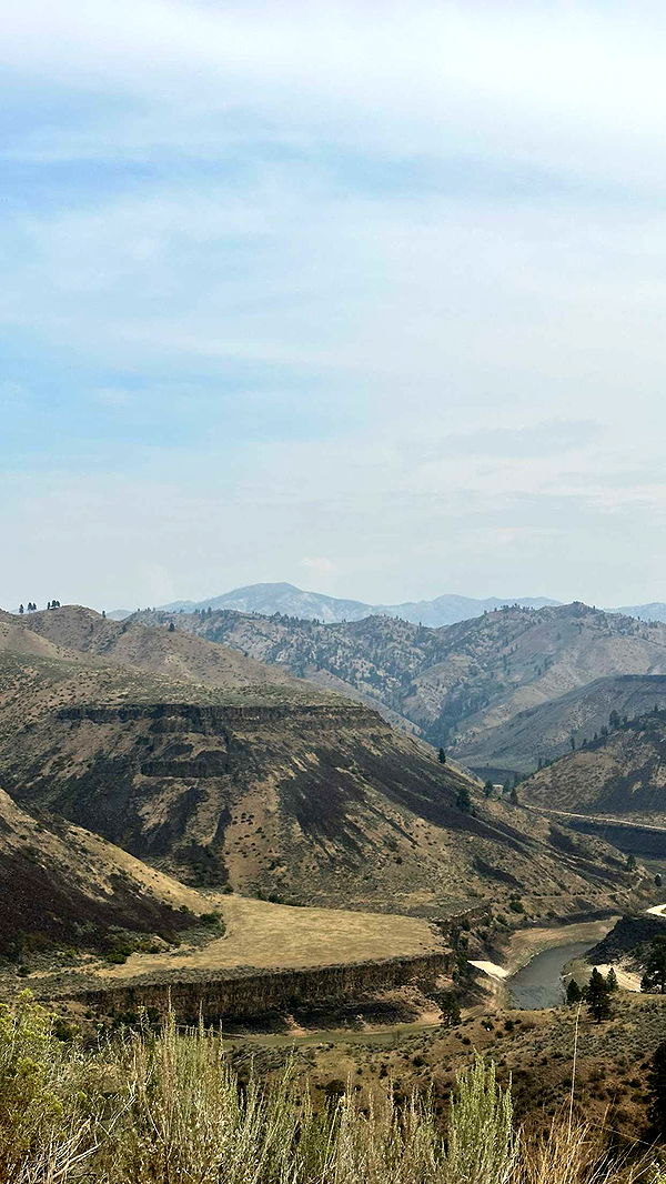 realhaylujan image ~ Altpins