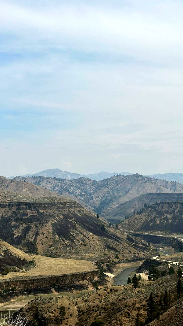 realhaylujan image ~ Altpins