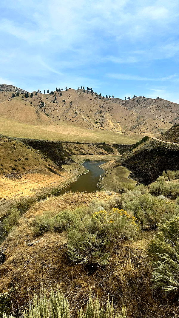 realhaylujan image ~ Altpins