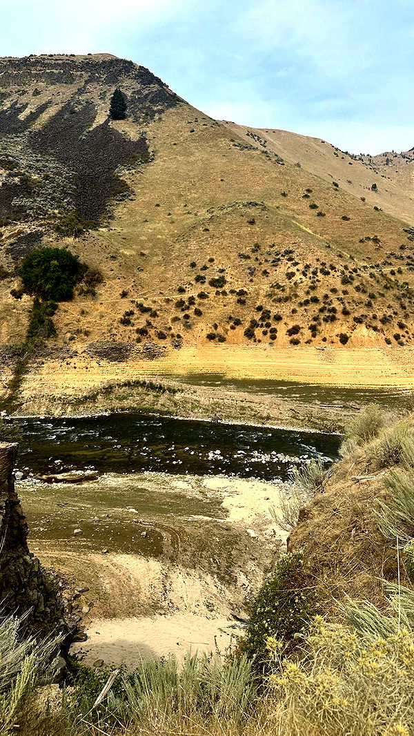 realhaylujan image ~ Altpins