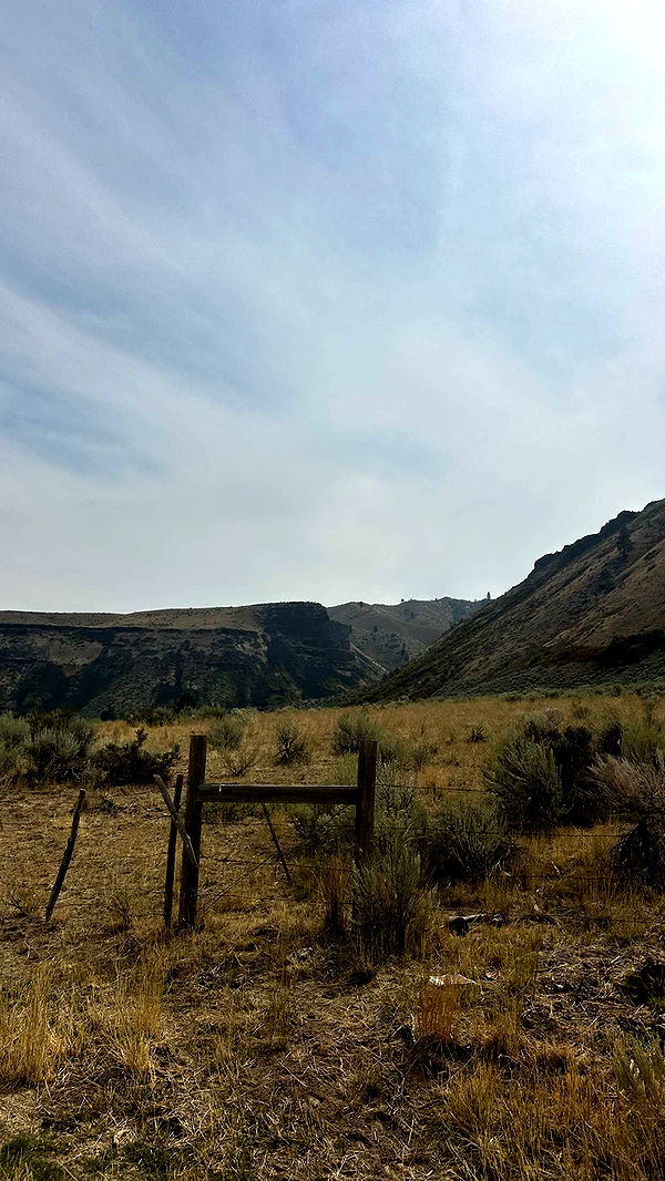 realhaylujan image ~ Altpins