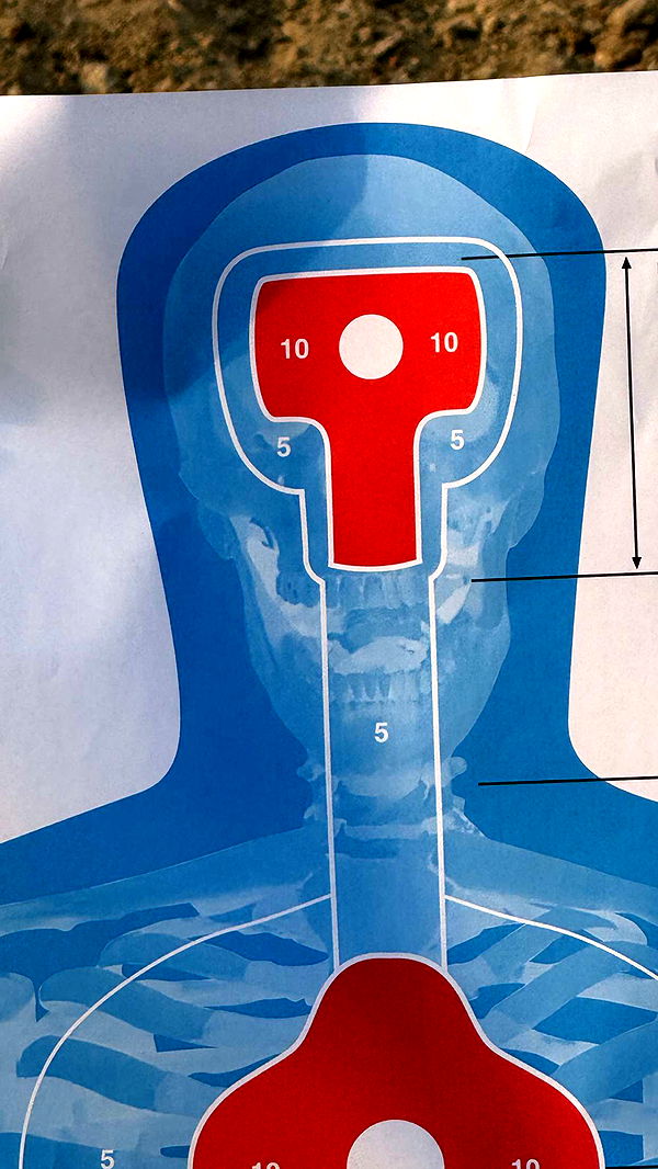 realhaylujan image ~ Altpins