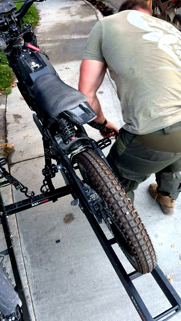 realhaylujan image ~ Altpins