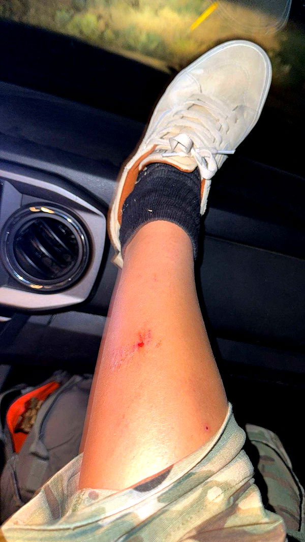 realhaylujan image ~ Altpins