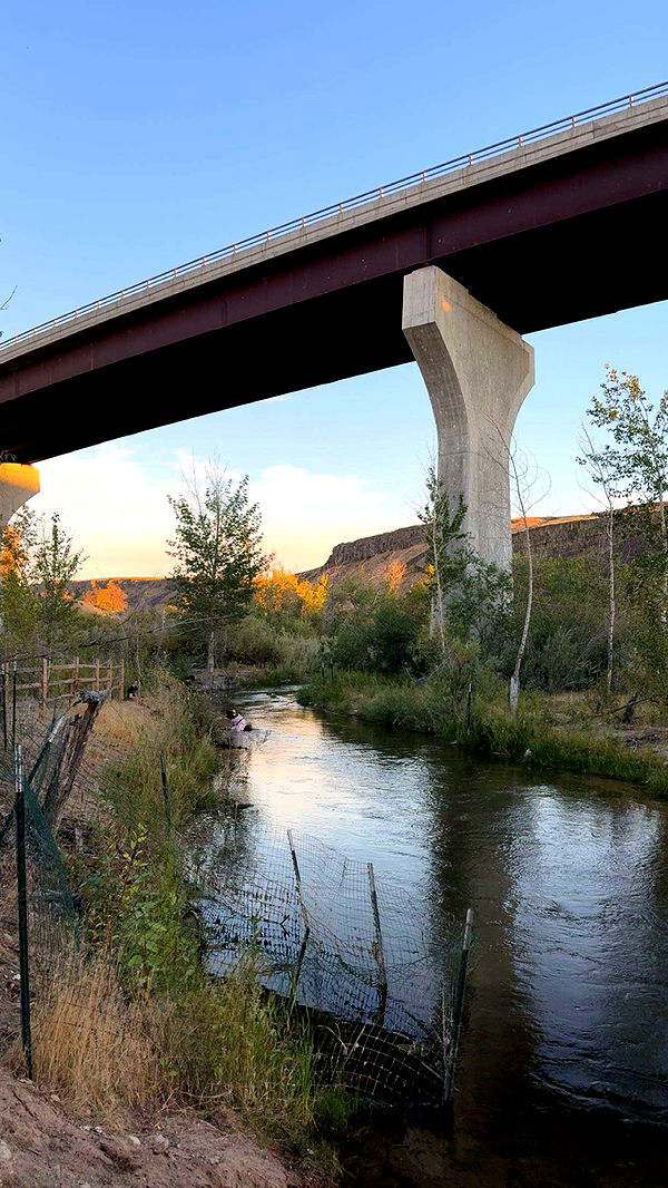 realhaylujan image ~ Altpins