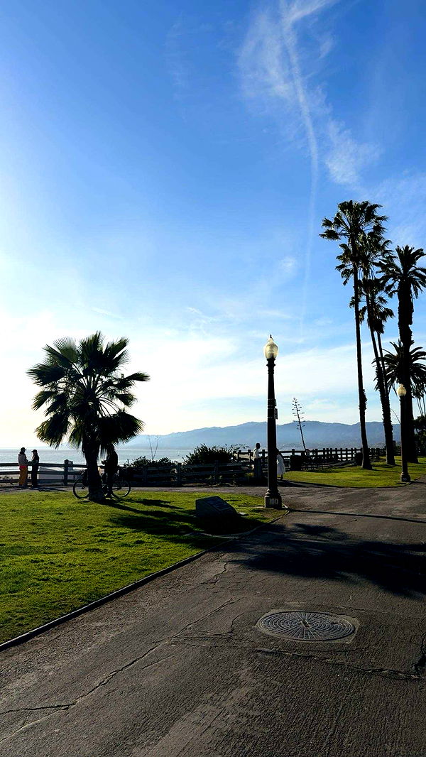 realhaylujan image ~ Altpins