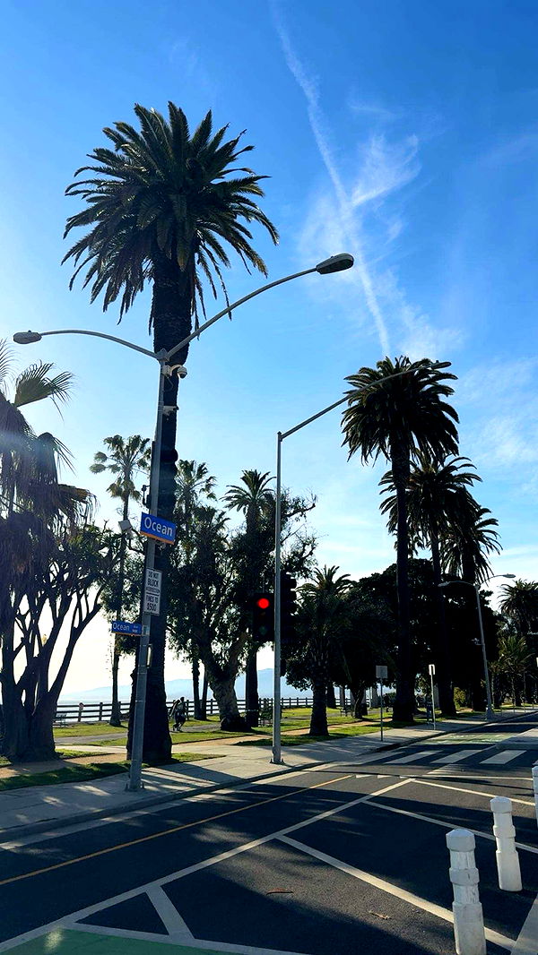 realhaylujan image ~ Altpins