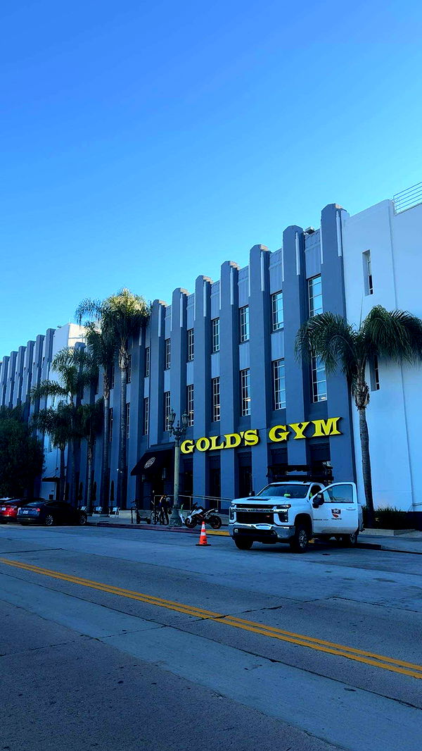 realhaylujan image ~ Altpins