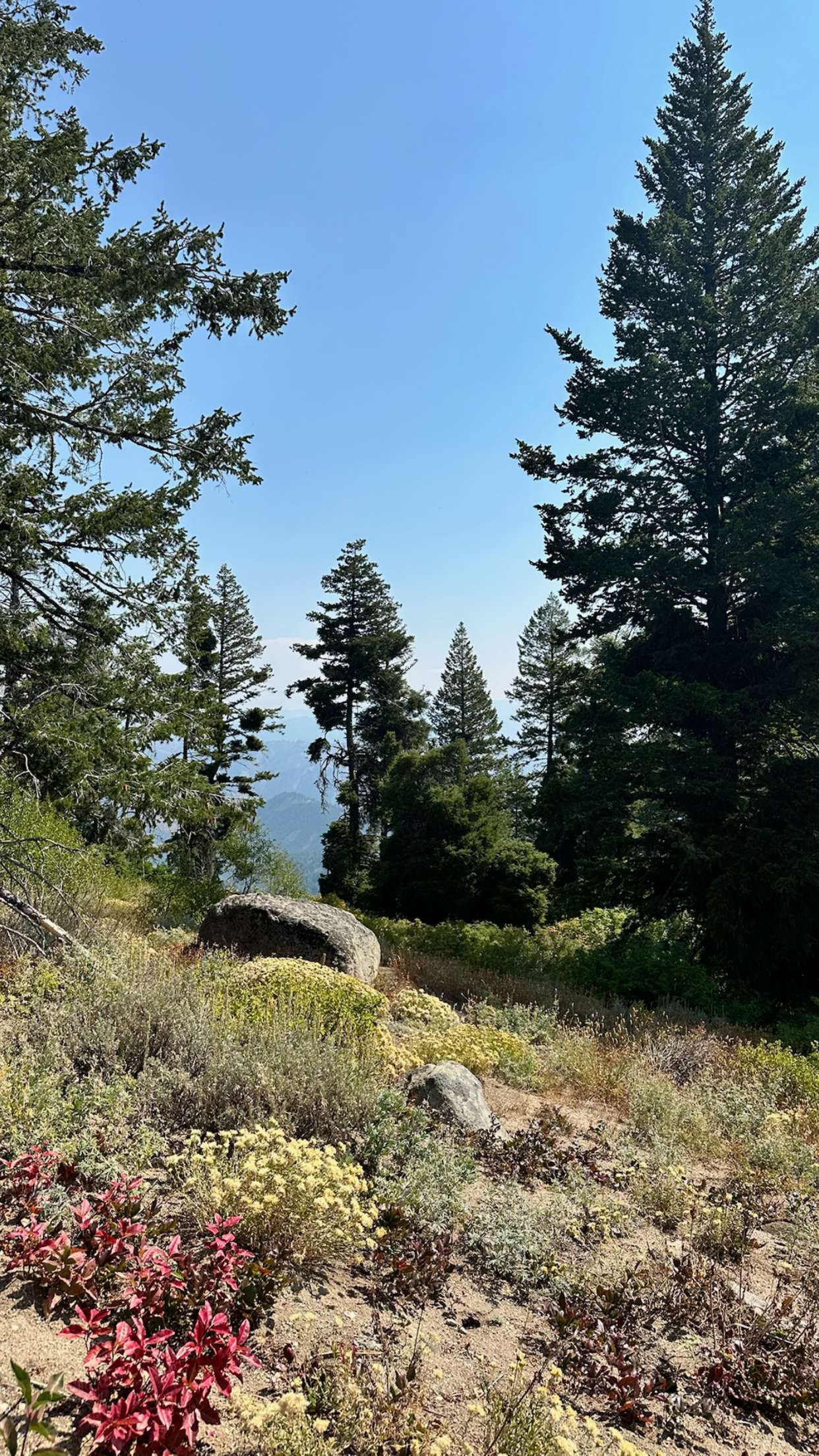 realhaylujan snapchat image archive image