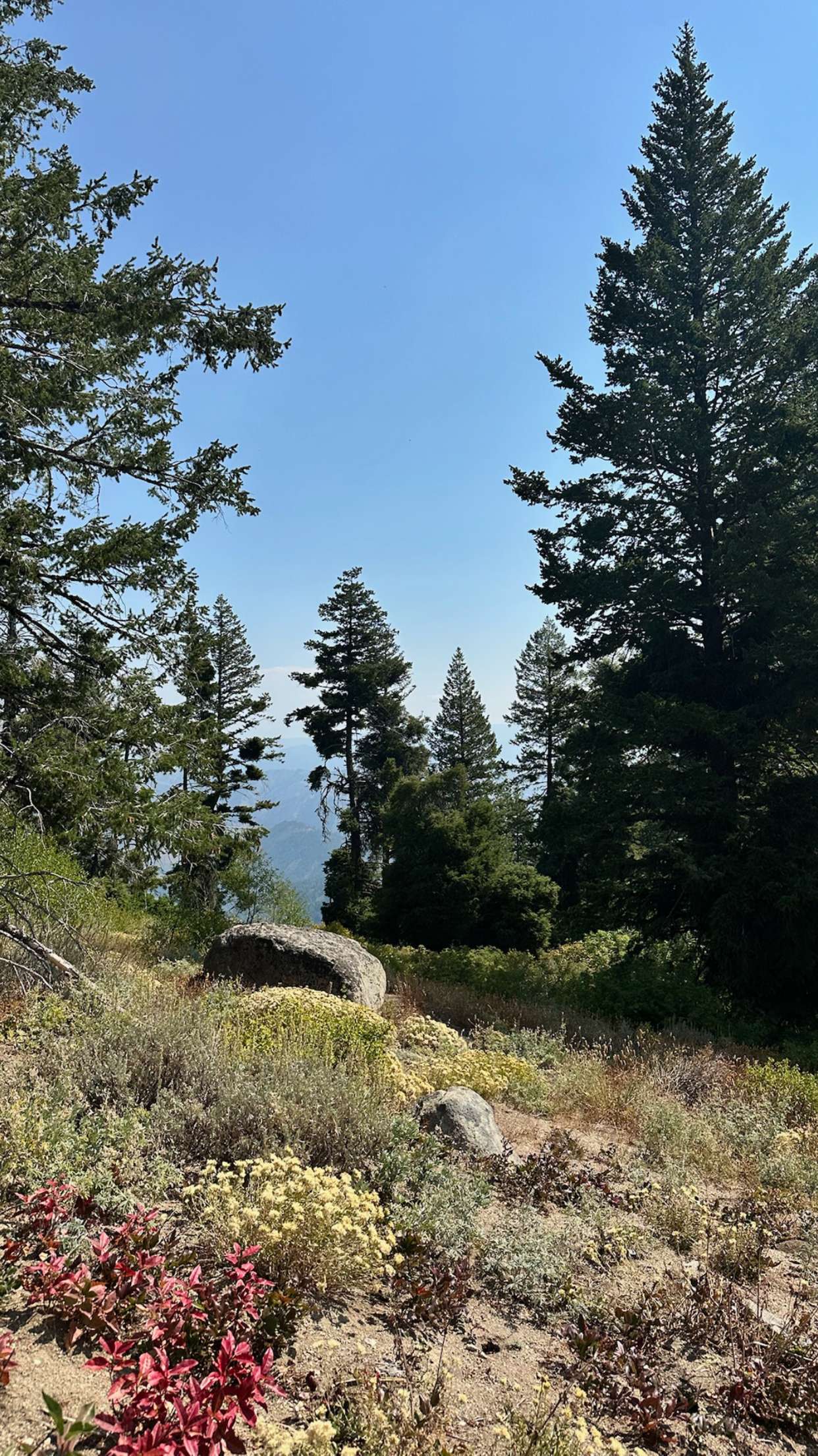 realhaylujan snapchat image archive image