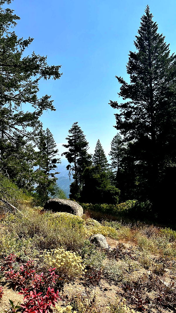 realhaylujan image ~ Altpins